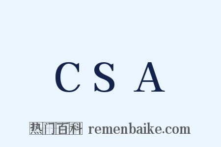 CSA是什么意思的图片